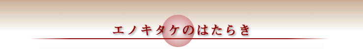 �G�m�L�^�P�̂͂��炫