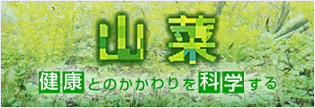 sansai_btn 山菜 健康とのかかわりを科学する