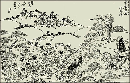江戸時代の大阪の庶民のマツタケ狩りの様子[攝津名所圖會（1798）より抜粋]